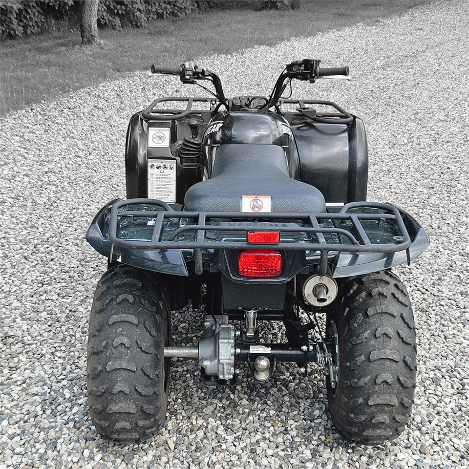 Yamaha YFM 250 - Keturratis: foto 5 Yamaha YFM 250 - Keturratis: foto 5