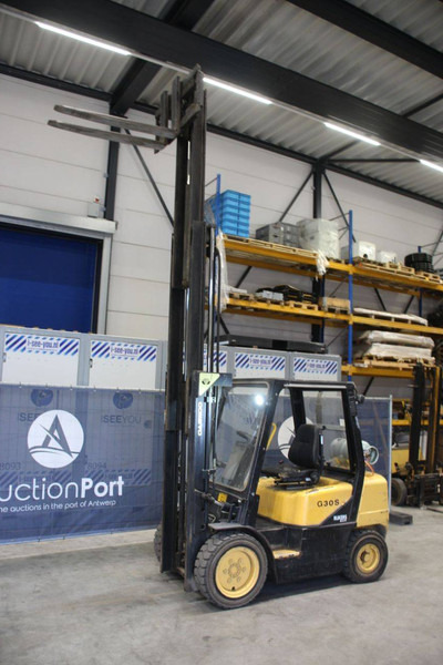 Daewoo G30-S - Dujinis krautuvas: foto 3 Daewoo G30-S - Dujinis krautuvas: foto 3