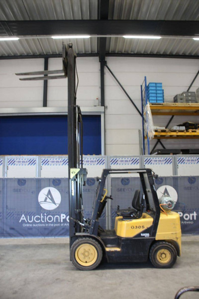 Daewoo G30-S - Dujinis krautuvas: foto 1 Daewoo G30-S - Dujinis krautuvas: foto 1