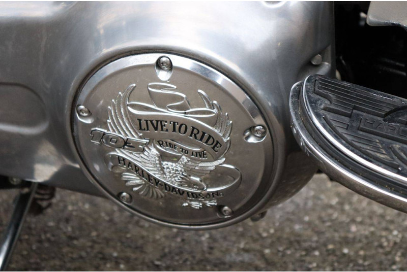 Motociklas Harley-Davidson Dyna Switchback: foto 19