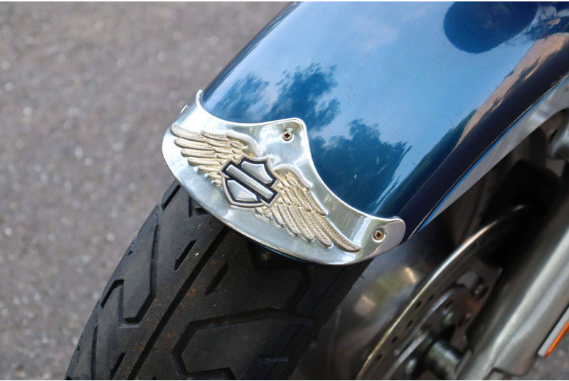 Motociklas Harley-Davidson Fat Boy: foto 13
