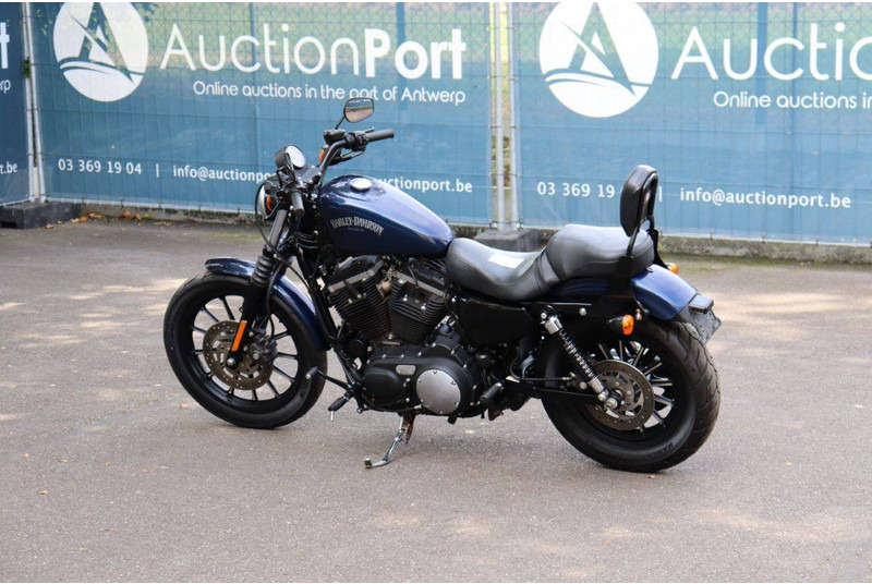 Harley-Davidson Sportster XL883 Iron - Motociklas: foto 3 Harley-Davidson Sportster XL883 Iron - Motociklas: foto 3