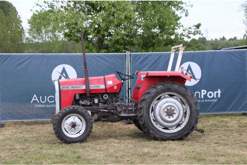 Massey Ferguson 255 - Traktorius: foto 1 Massey Ferguson 255 - Traktorius: foto 1