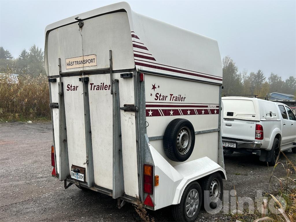 STAR TRAILER DIAMANT med frontinlastning - Priekaba žirgams vežti: foto 5 STAR TRAILER DIAMANT med frontinlastning - Priekaba žirgams vežti: foto 5