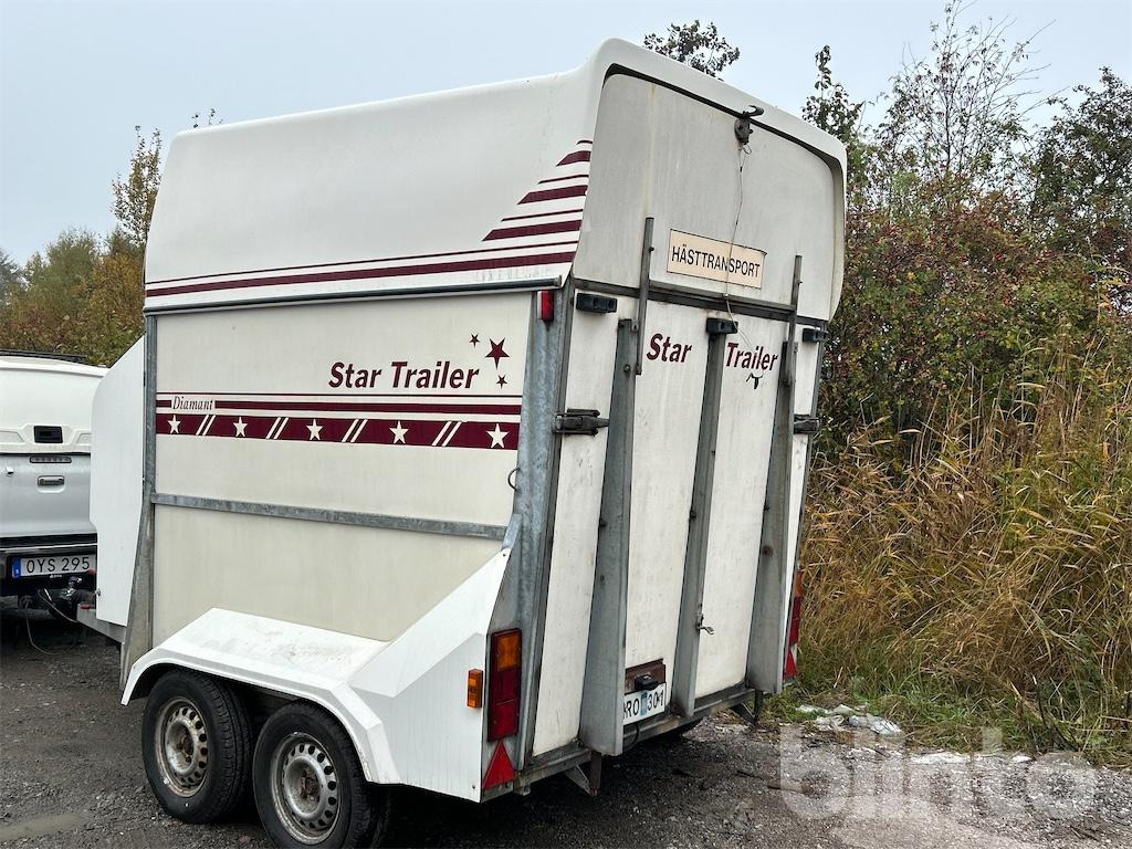 STAR TRAILER DIAMANT med frontinlastning - Priekaba žirgams vežti: foto 3 STAR TRAILER DIAMANT med frontinlastning - Priekaba žirgams vežti: foto 3